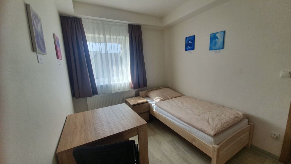 Dřevo
