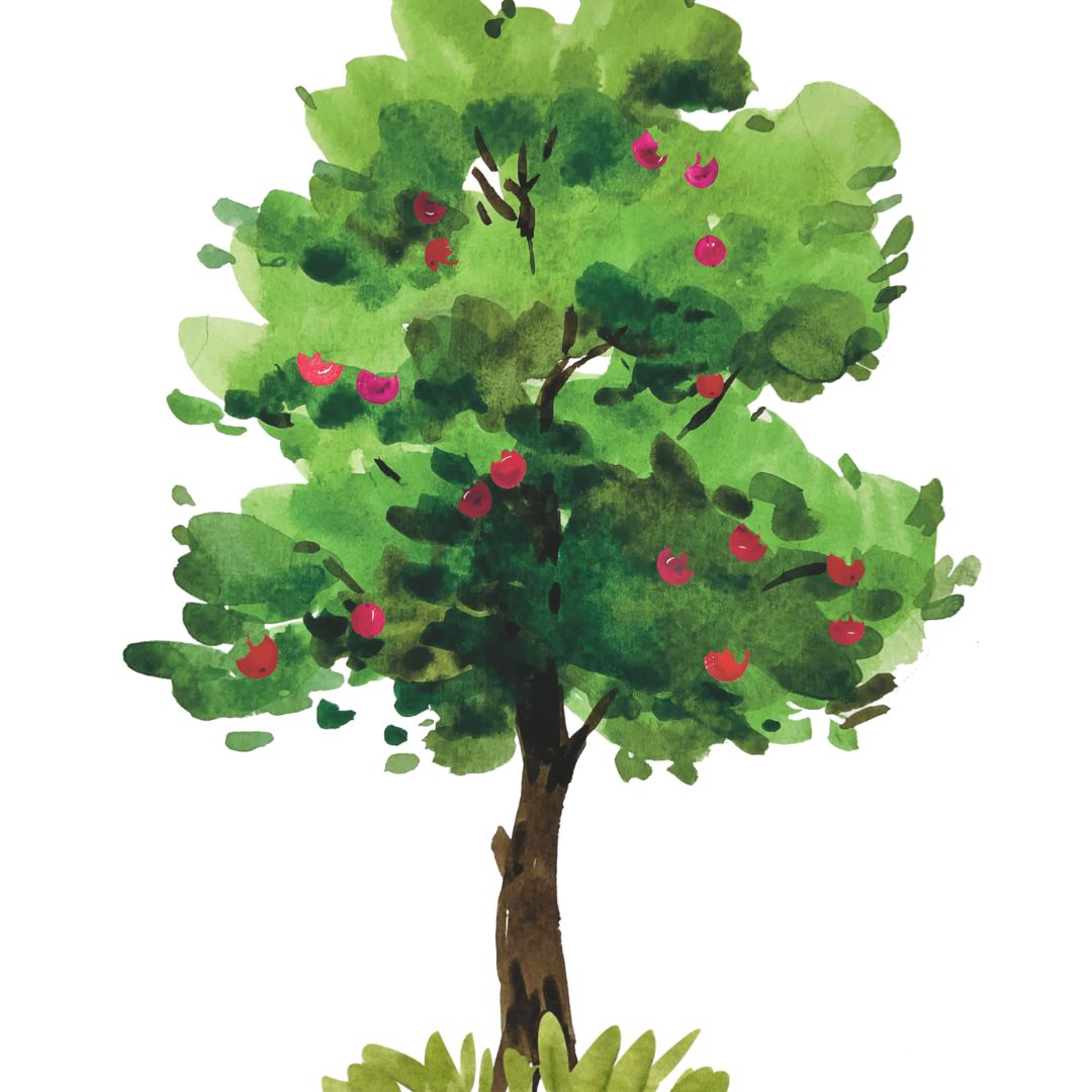 Péče o ovocné stromy a jejich údržba řezem